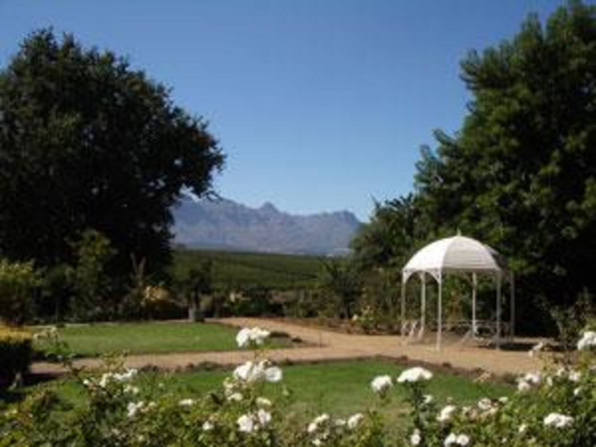 AIFS Study Abroad in S. Africa: Service Learning - Summer — photo 7