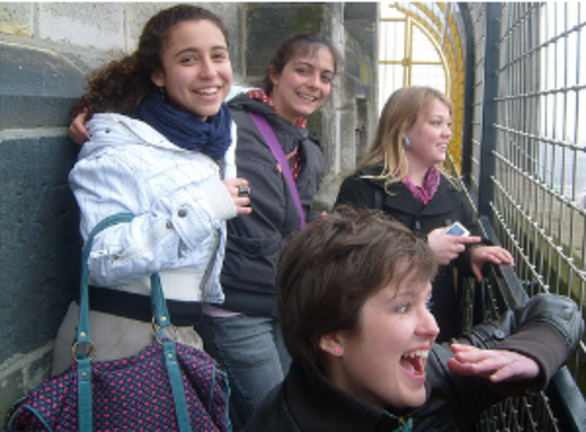 AFS Intercultural Programs: Netherlands High School — photo 10