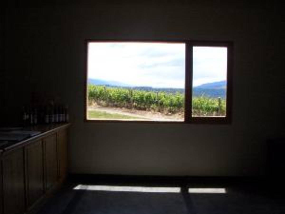 Mente Argentina: Wine Program + Optional Spanish — photo 7