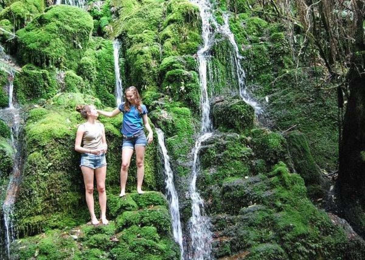 study in new zealand