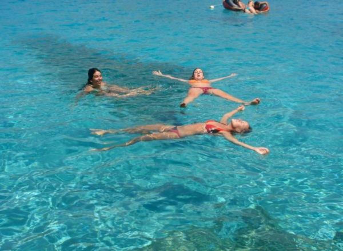 Greece - Sea Turtle Conservation - Teen Volunteering — photo 2