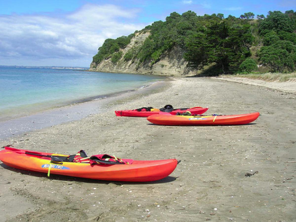 IFSA University of Auckland Partnership — photo 7