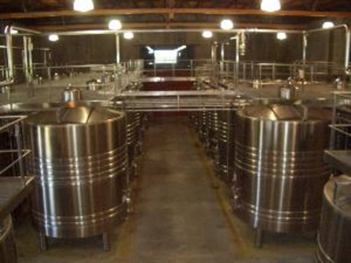 Mente Argentina: Wine Program + Optional Spanish — photo 8