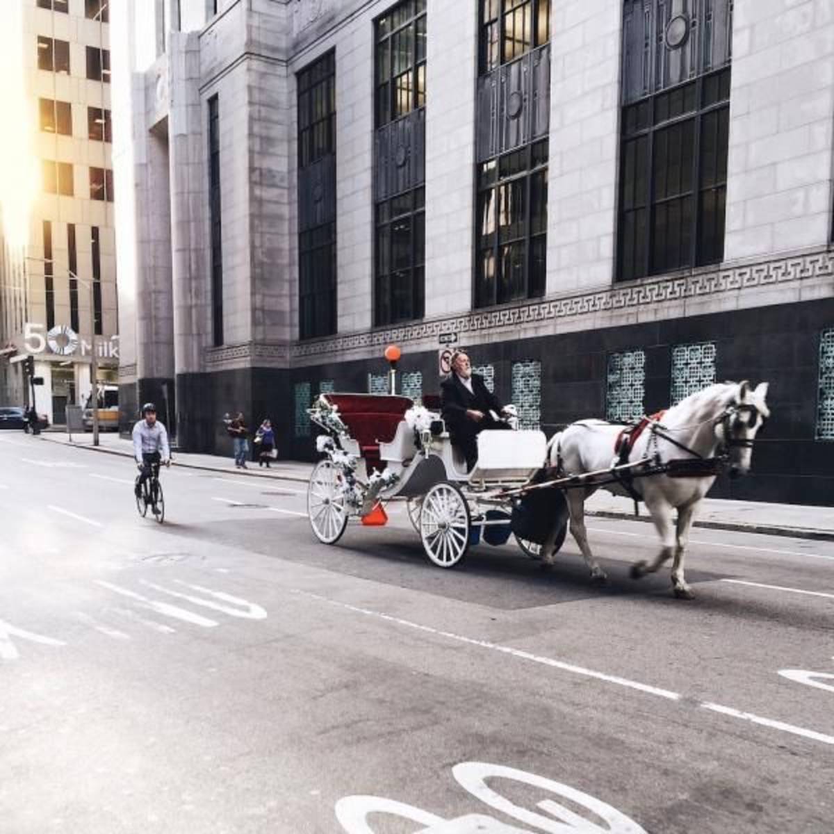 Art Gallery Internship
