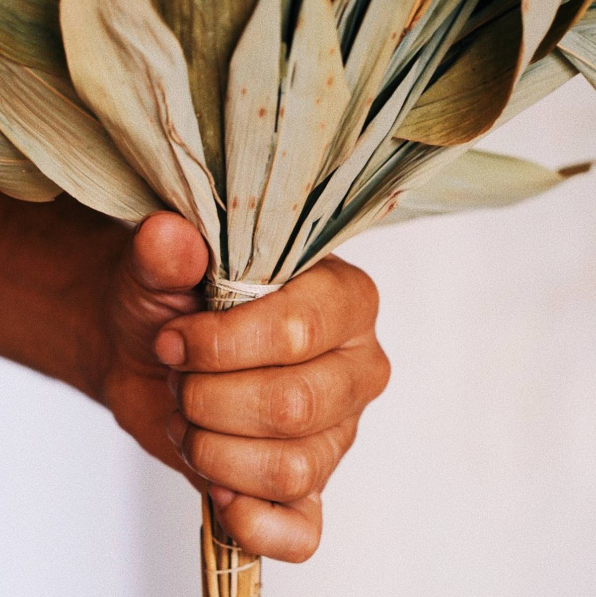 A close up of a hand holding a bundle of dried leaves.