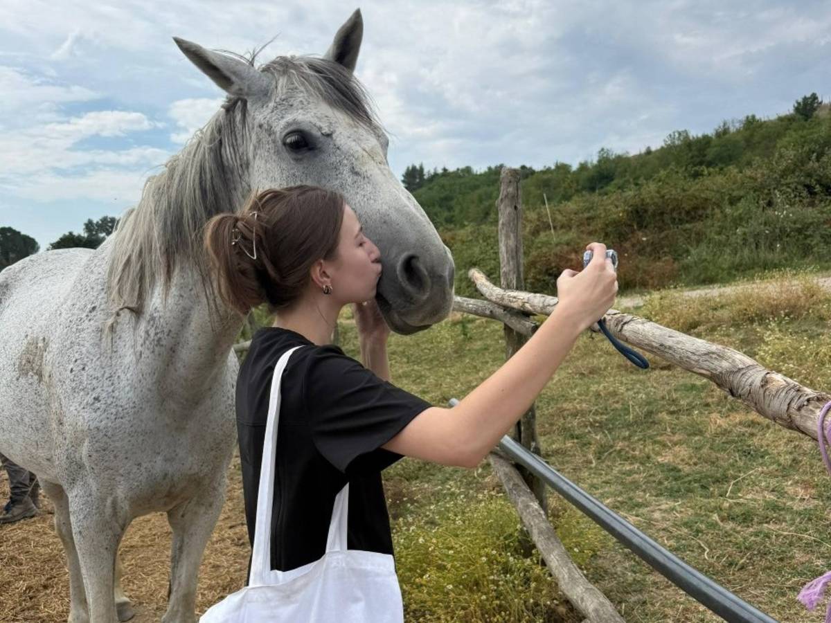 A fellow giving a rescued equine a kiss.