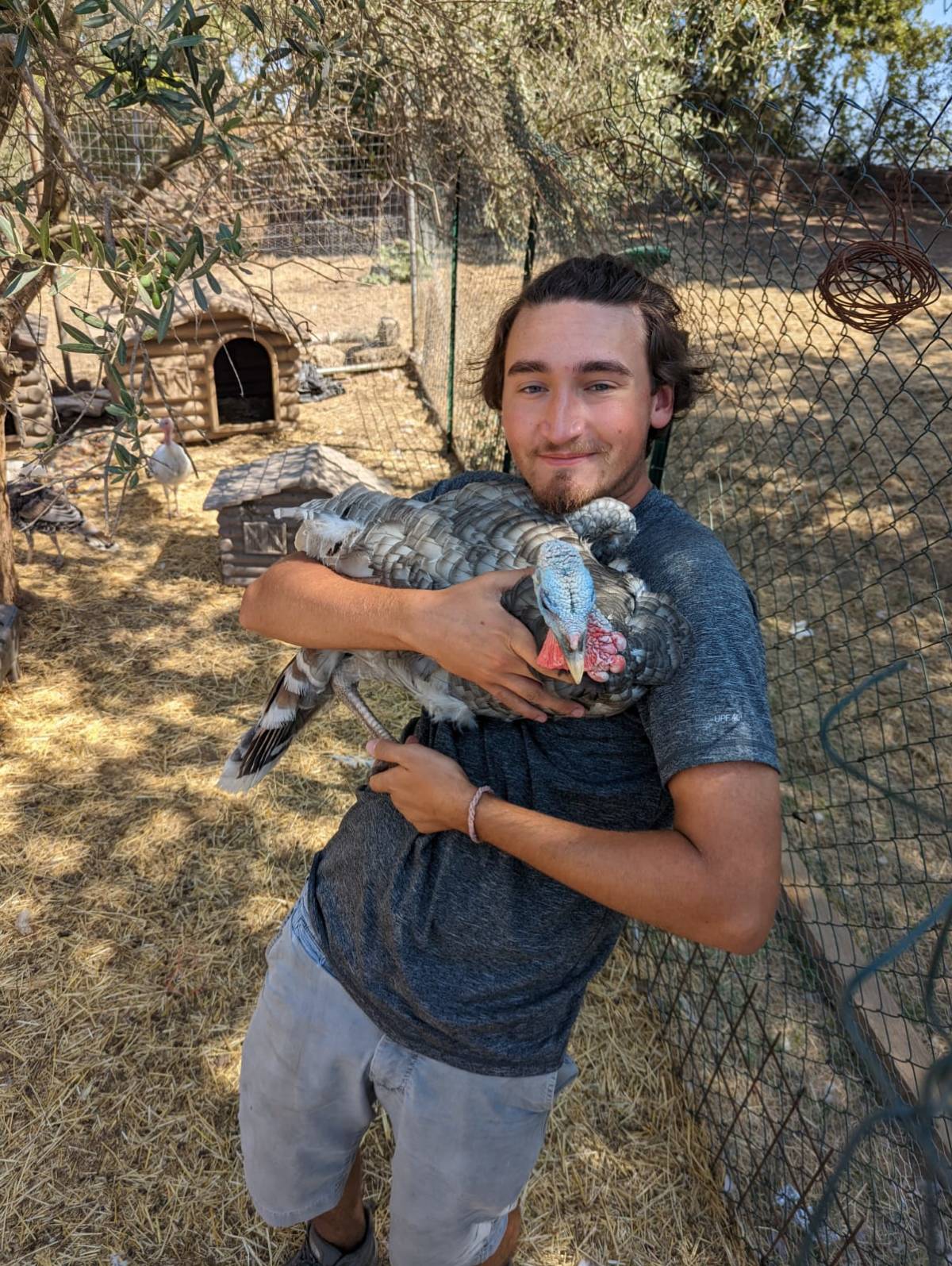A Fellow learning to care for turkeys