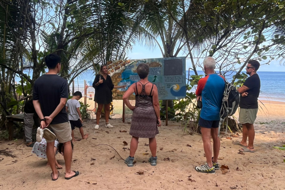 a group of tourists on an outdoor activity on a sandy beach