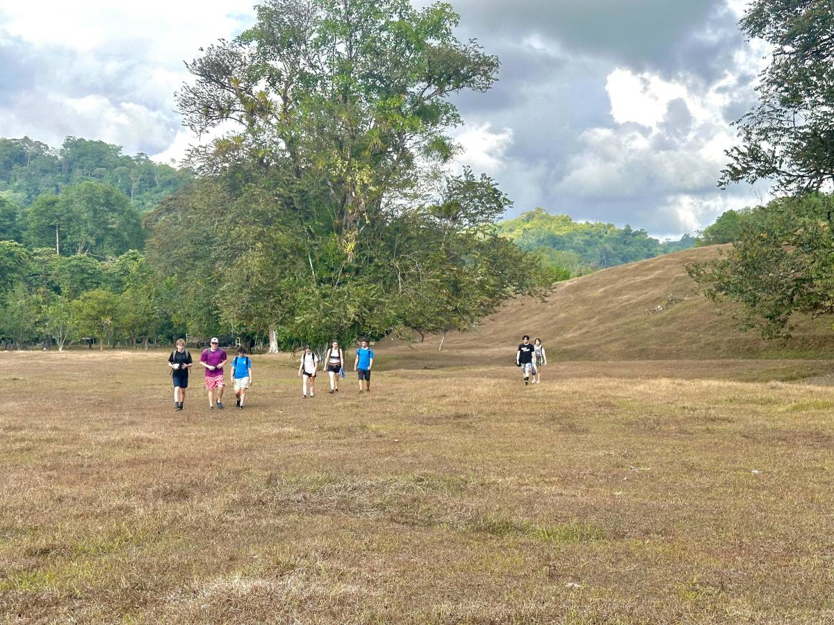 A group walks towards the camera in a grassy field, with trees in background.