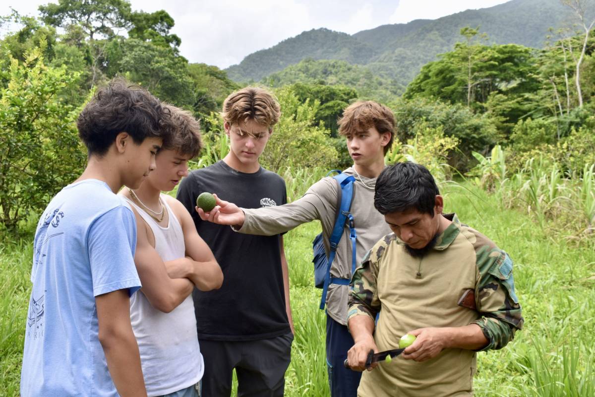 A guide shows a group of boys local fruit in the rainforest in Belize.
