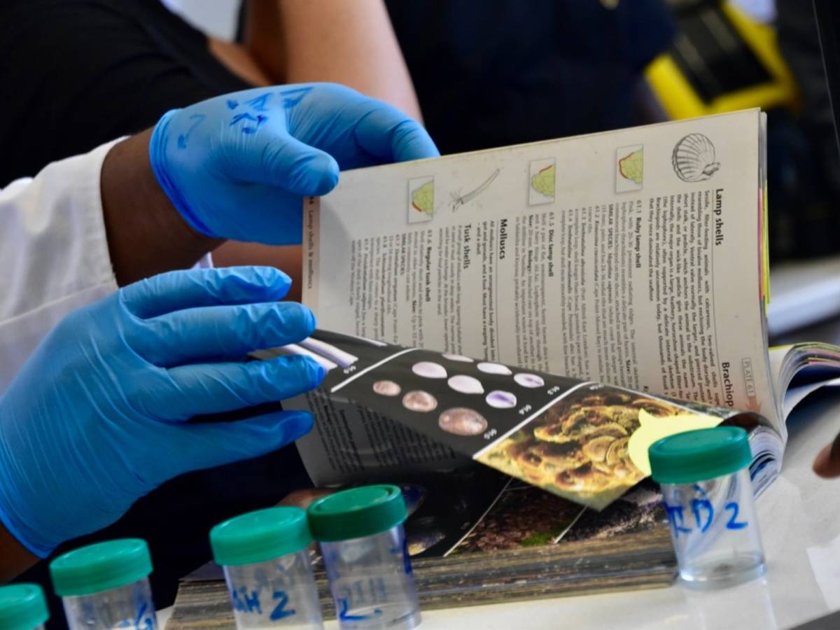 A student in blue latex gloves handles labelled sample vials and a marine biology reference book during a Marine and Maritime Studies class.