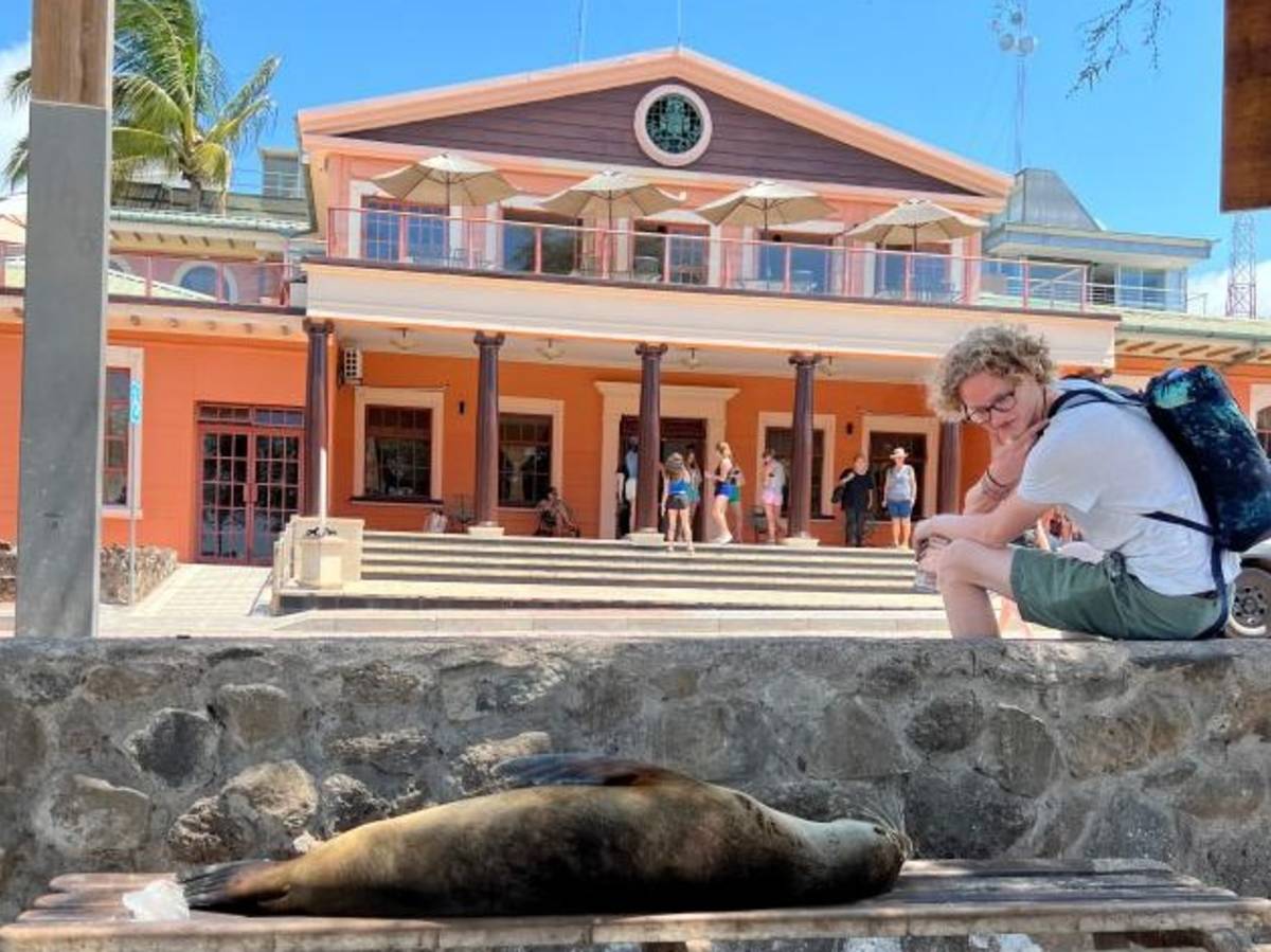 A student looks at a seal lying on a bench on the GAIAS campus.