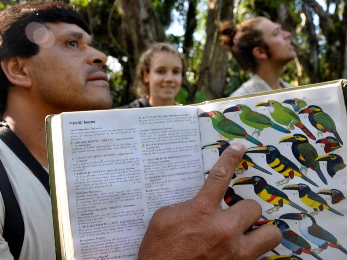 A student points at a textbook drawing of a toucan in a forest.