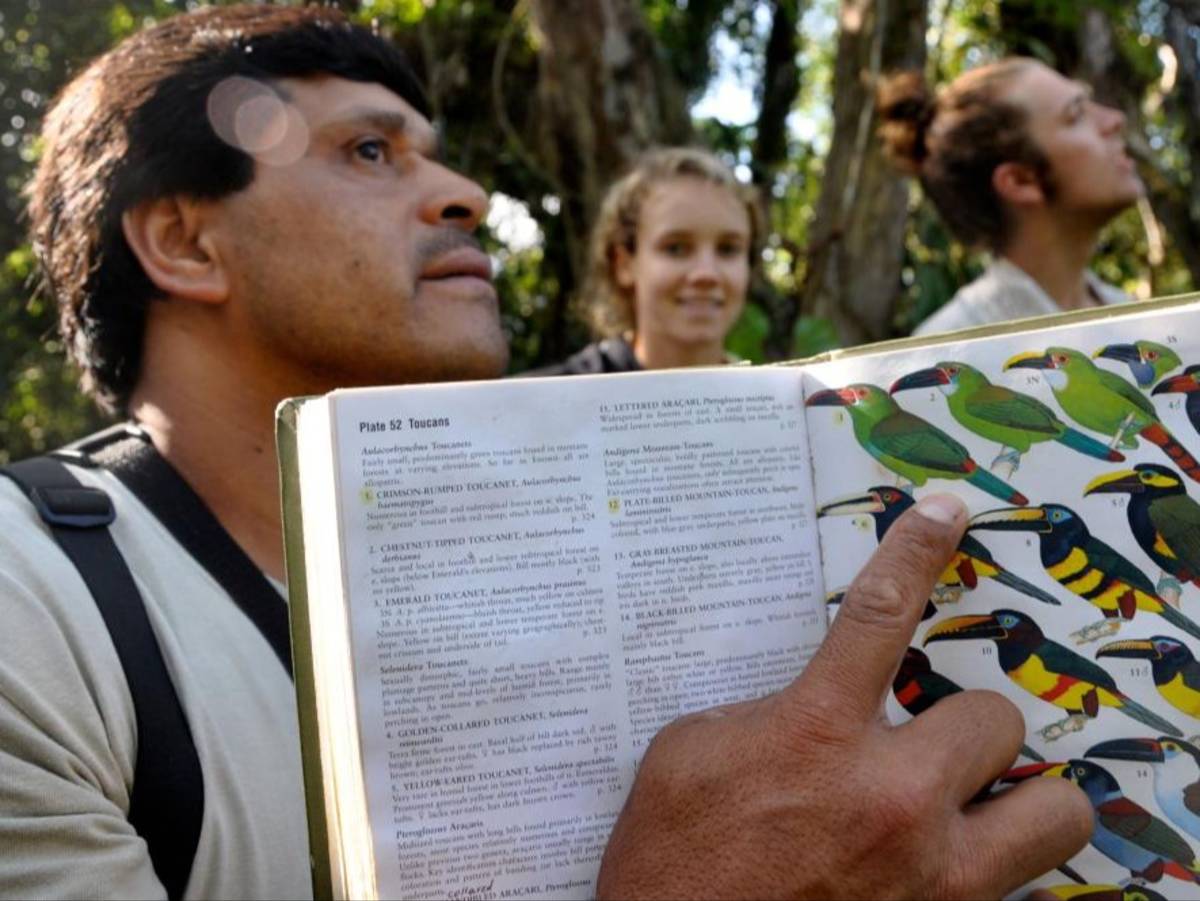 A student points at a toucan drawing on a textbook page in a forest.