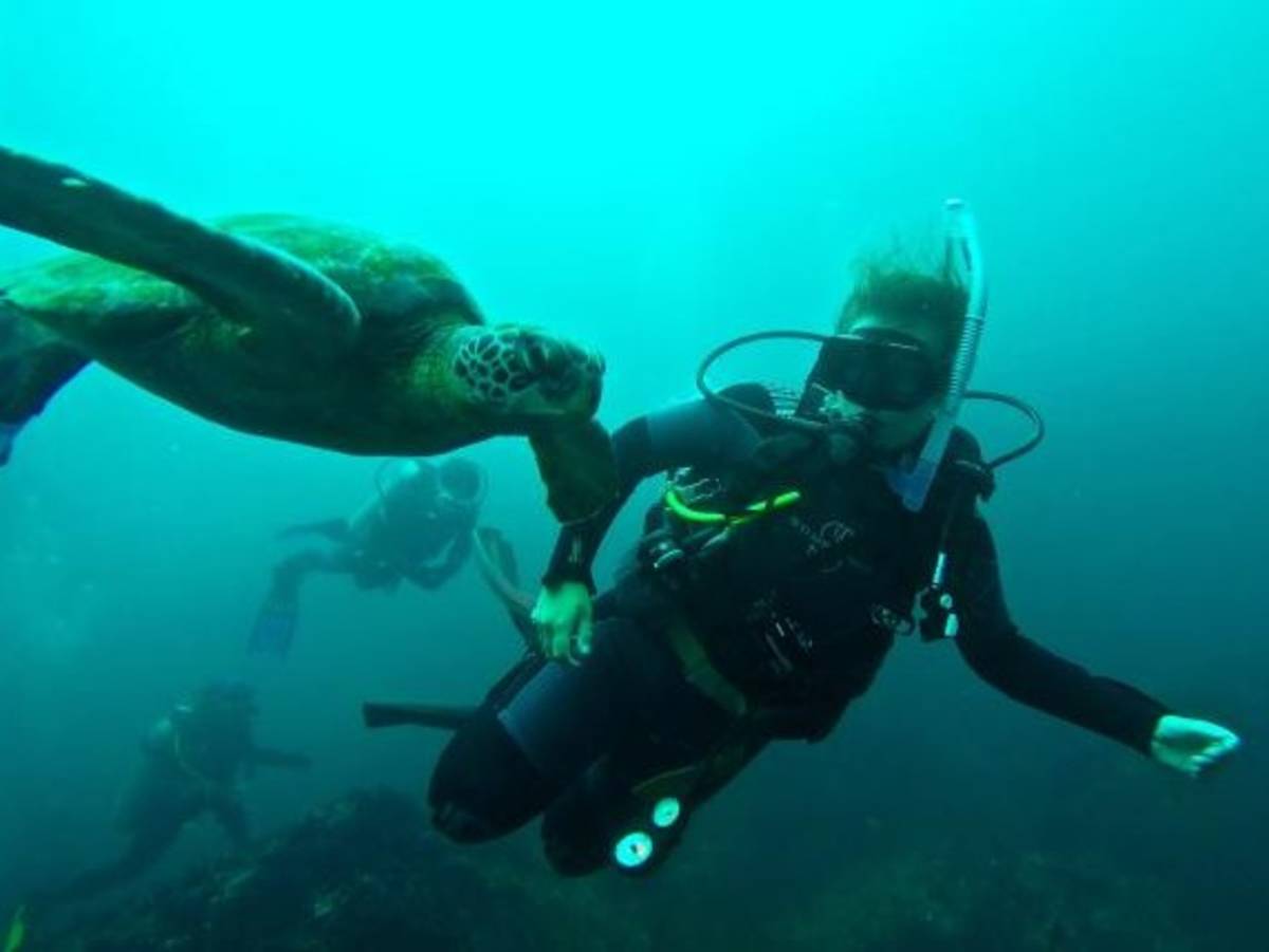 A student scuba diving next to a sea turtle in the Galapagos.