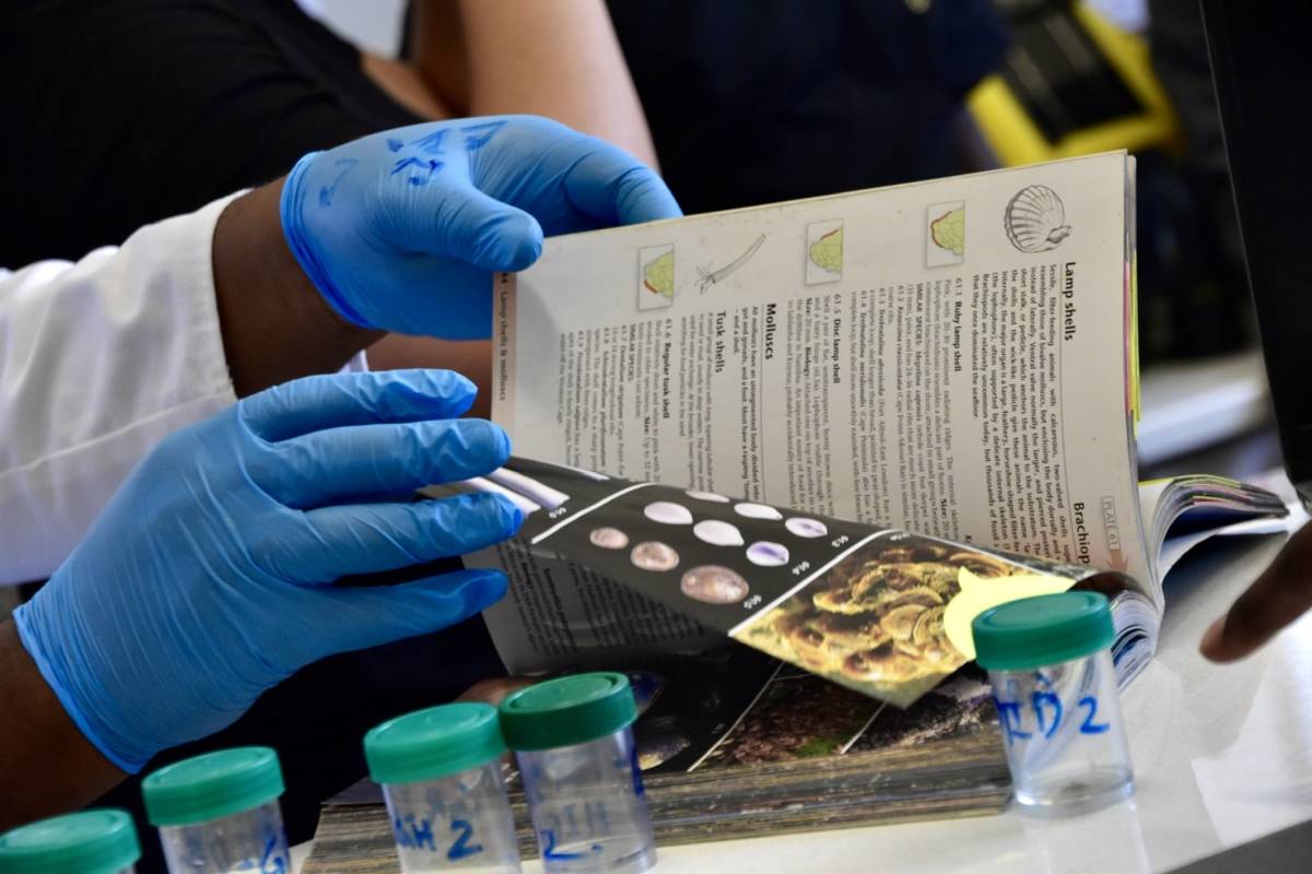 A student wearing blue latex gloves using a marine species identification guide alongside labelled sample vials during a science practical at Lüderitz Blue School.