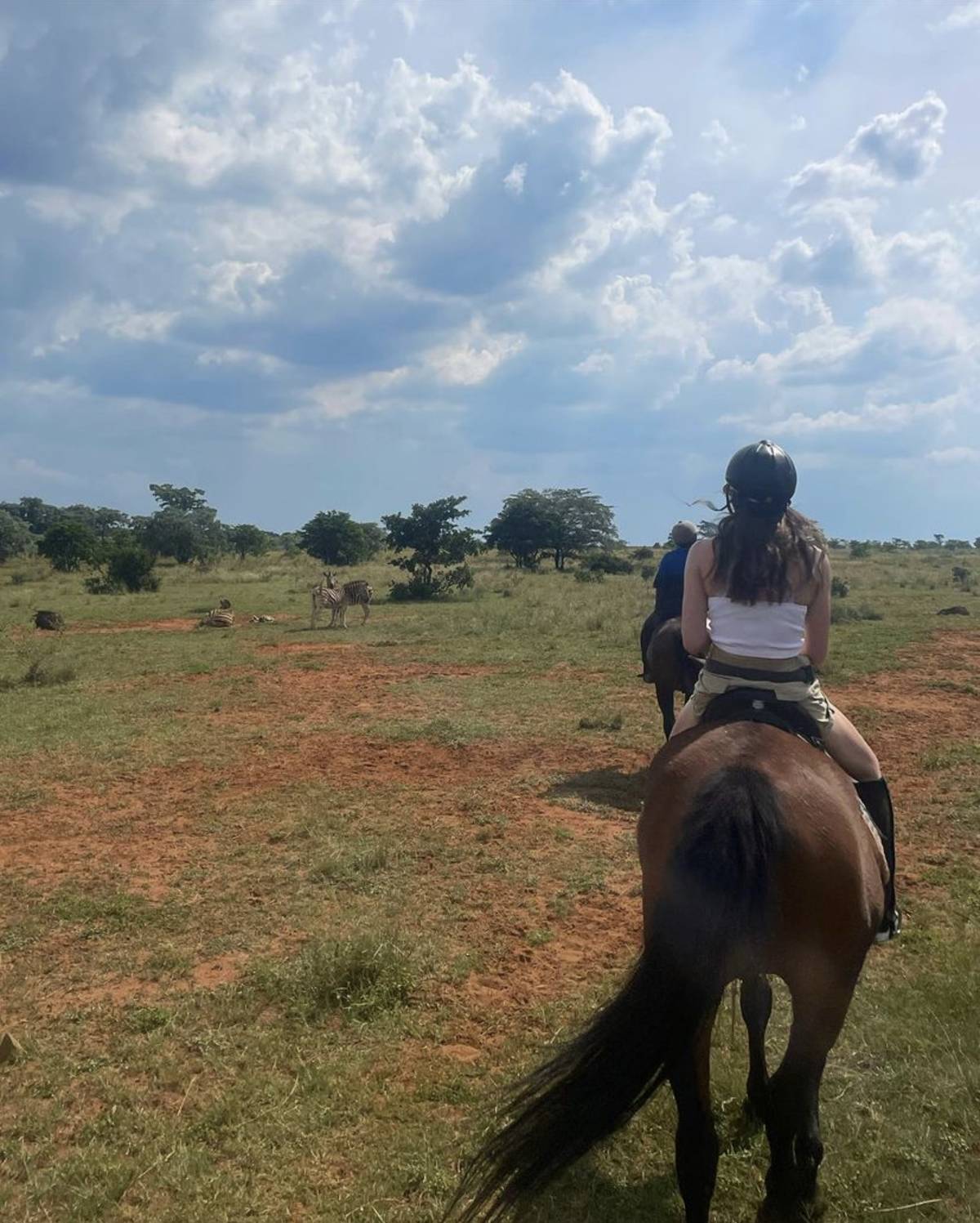 A volunteer on horseback walks past three zebras on a horseback safari. 