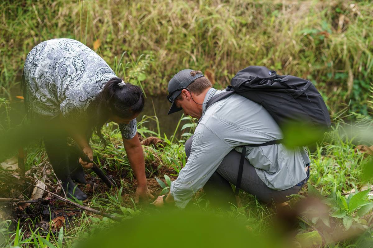 a woman and man plant together in the field.