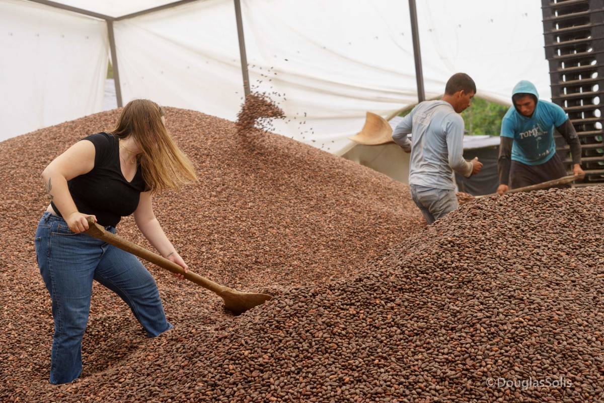 A woman shovels cacao beans in a large pile.