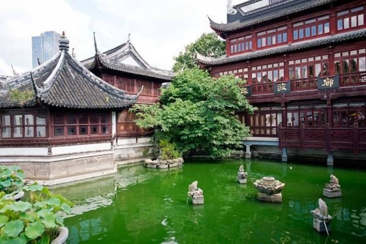 Confucius Temple - Absolute Internship Shanghai