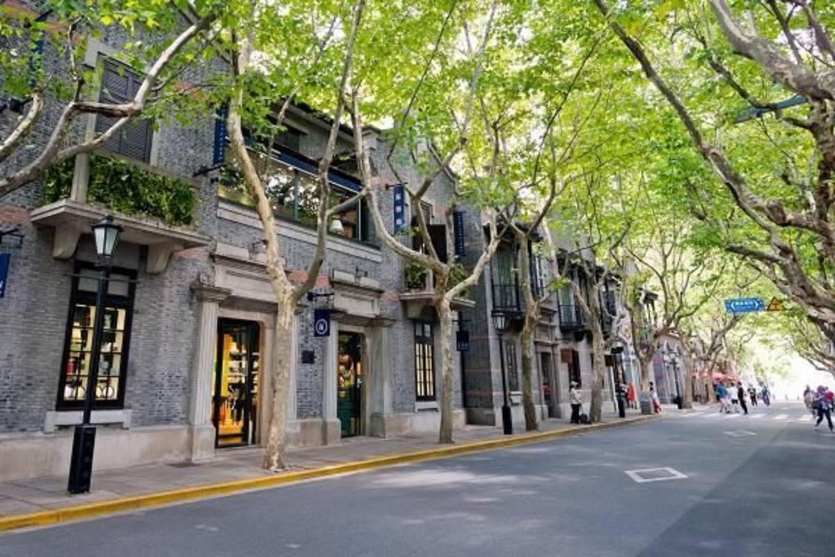 The French Concession - Absolute Internship Shanghai