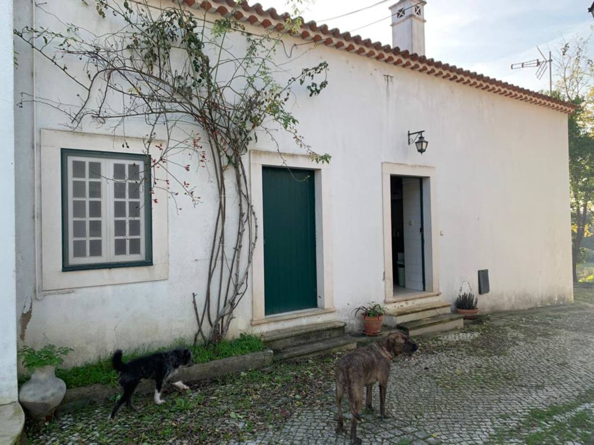 ACCOMMODATION IN Portugal
