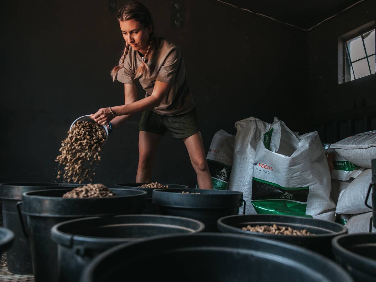 ACE volunteer preparing food for the rhinos