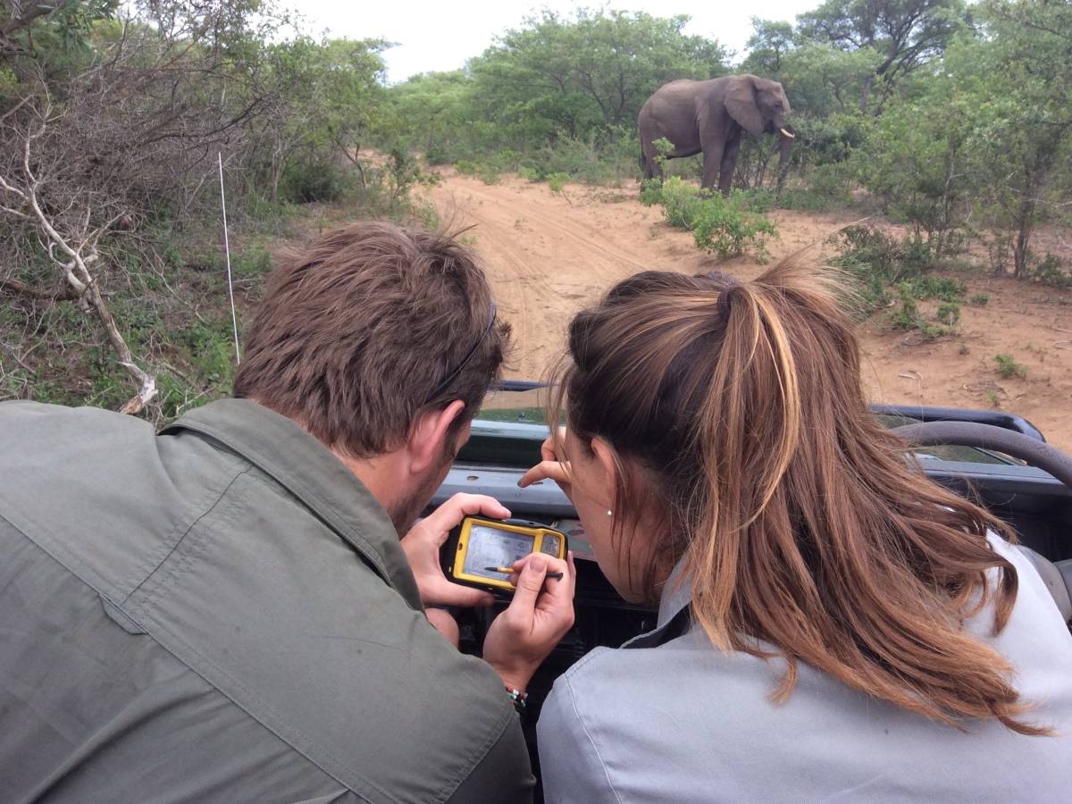 ACE volunteers sat in a jeep monitoring elephant population at Phinda