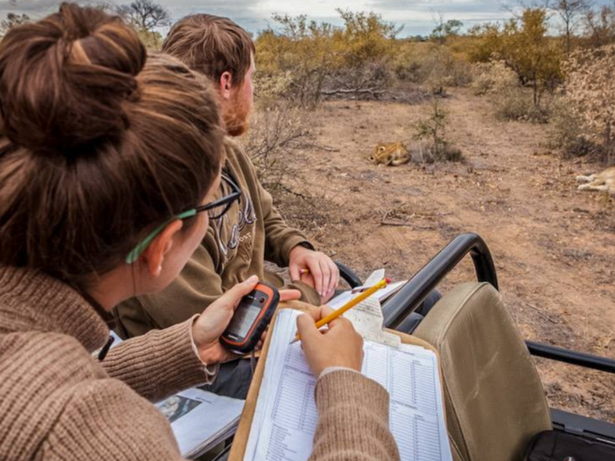 African Big 5 and Wildlife Conservation in South Africa