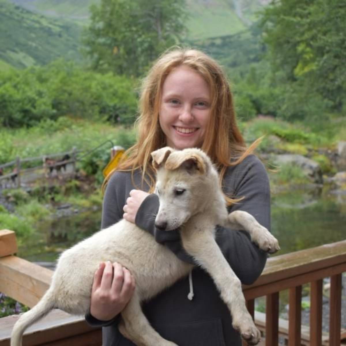 teen volunteers with sled dogs in alaska