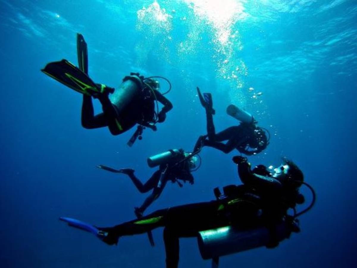 An underwater view of scuba divers in the ocean at Galapagos Islands.