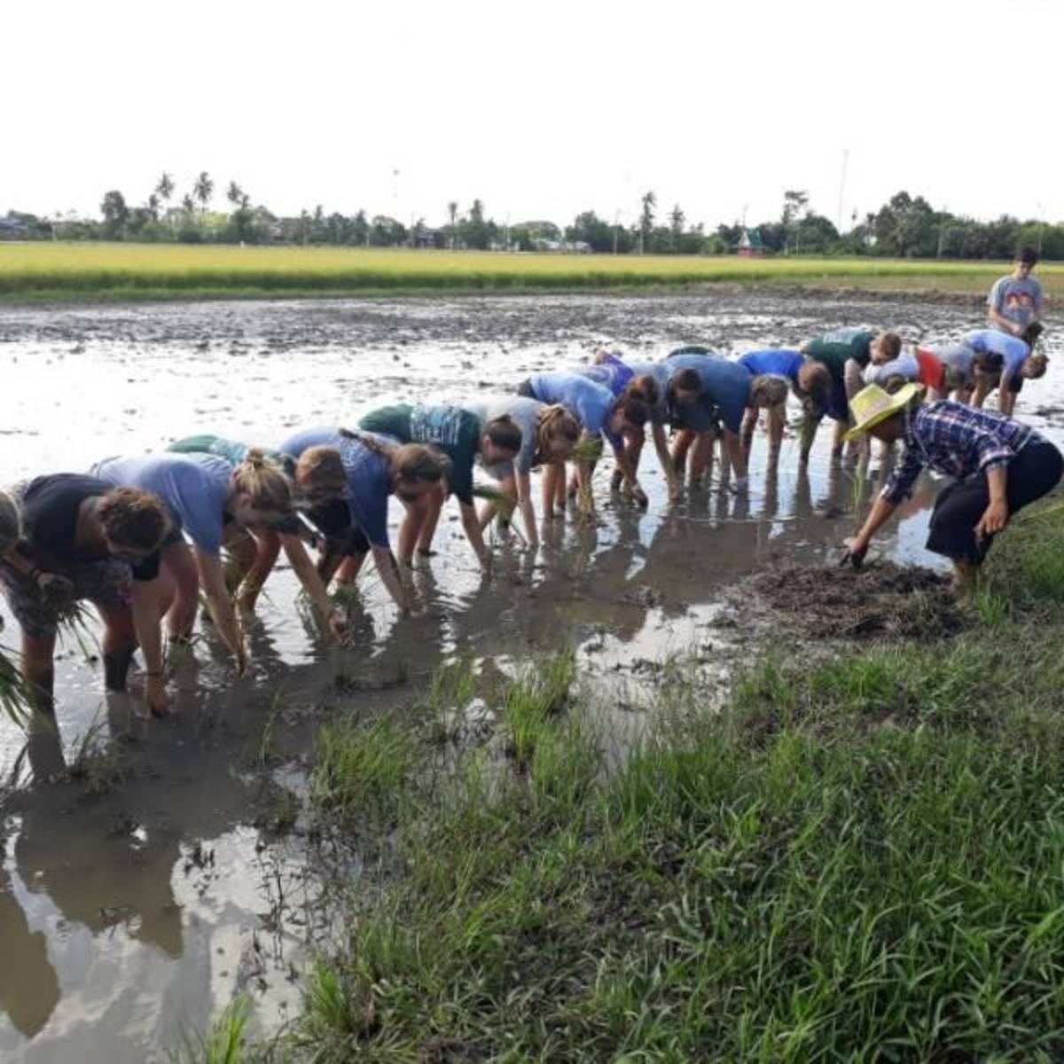 ARCC Thailand Elephant Experience | Summer Travel Program for Teens