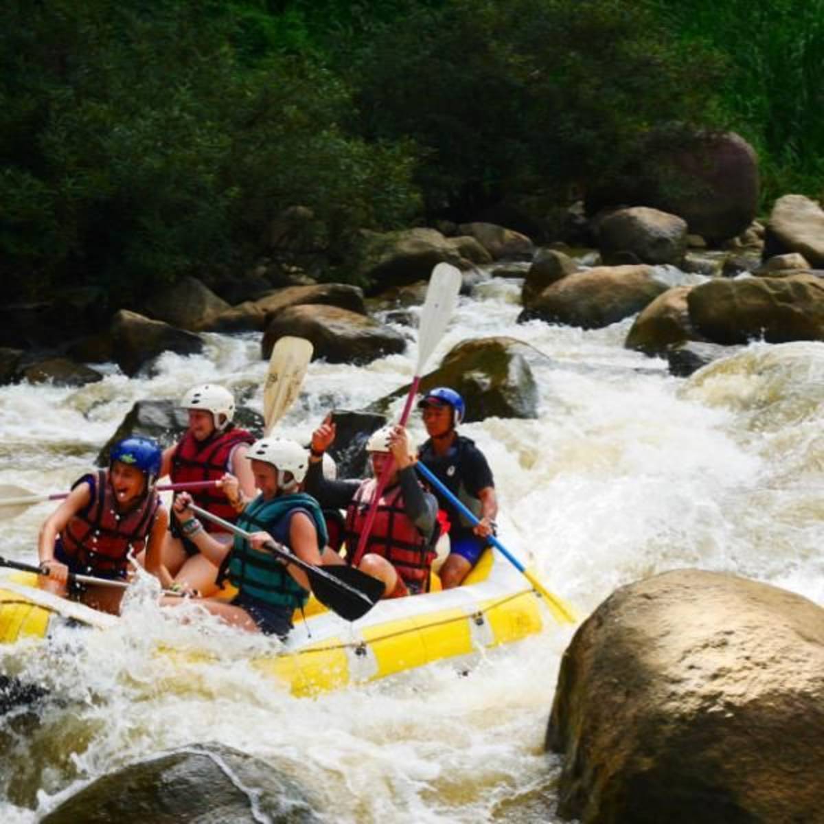 ARCC Thailand Elephant Experience | Summer Travel Program for Teens