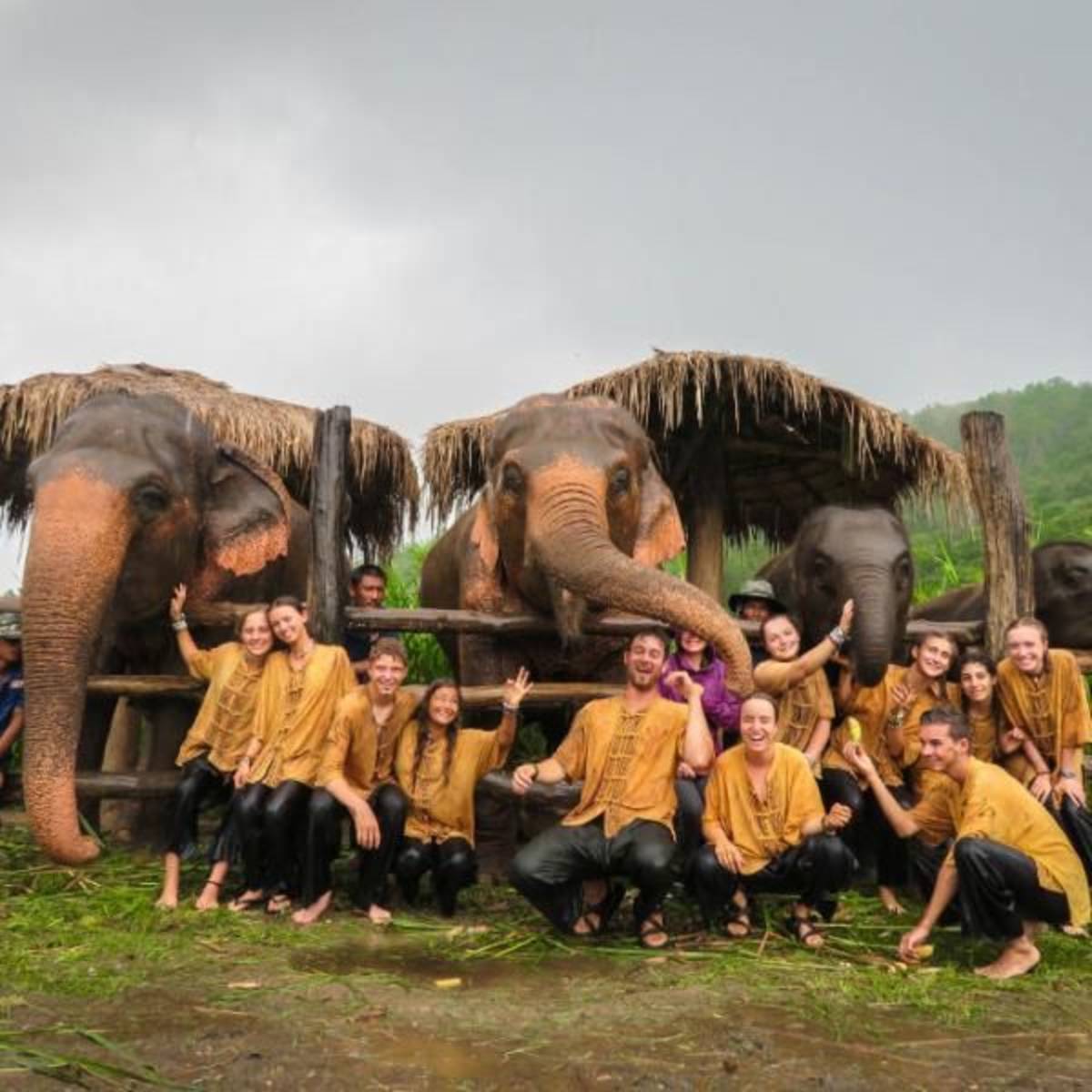 ARCC Thailand Elephant Experience | Summer Travel Program for Teens