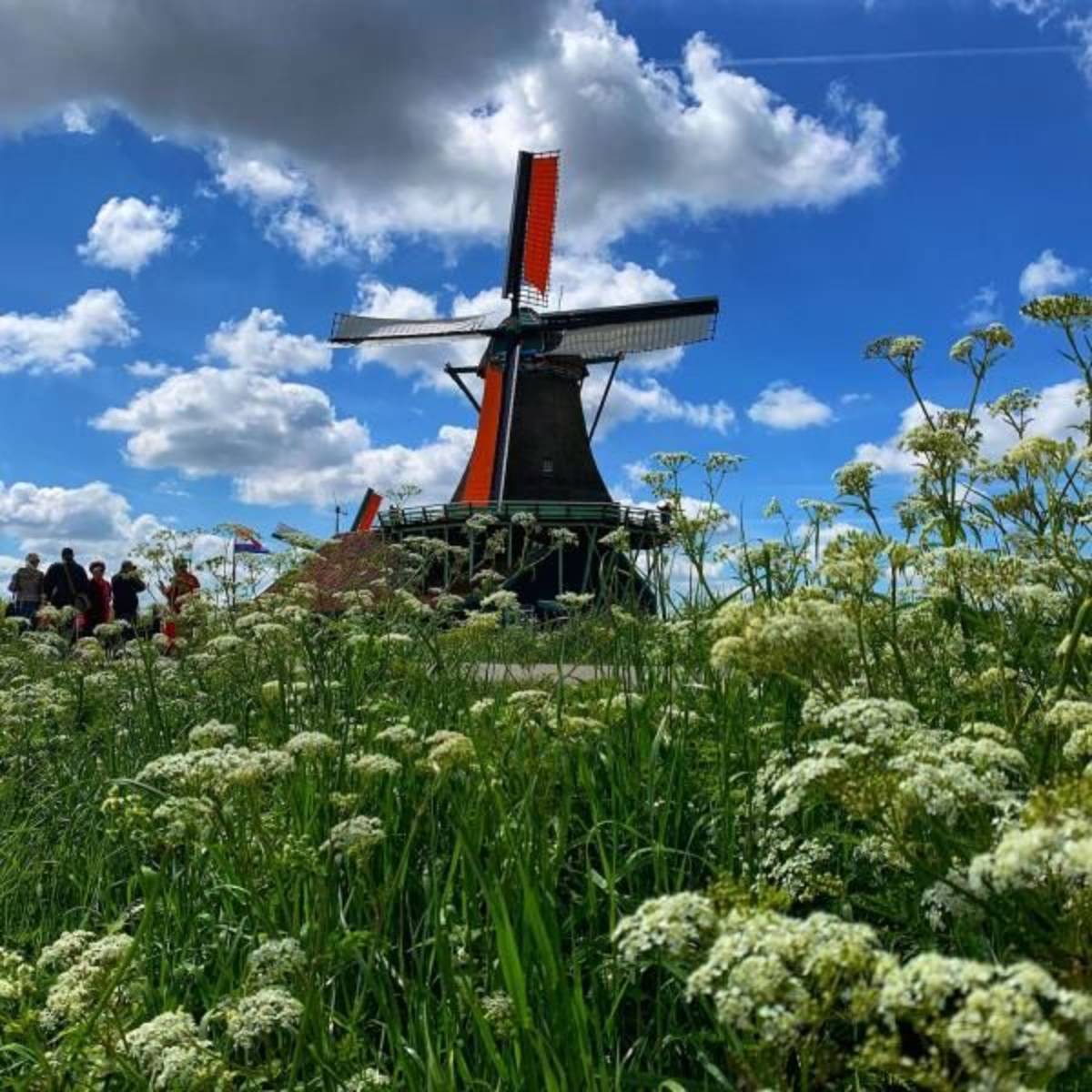 Netherland Interns