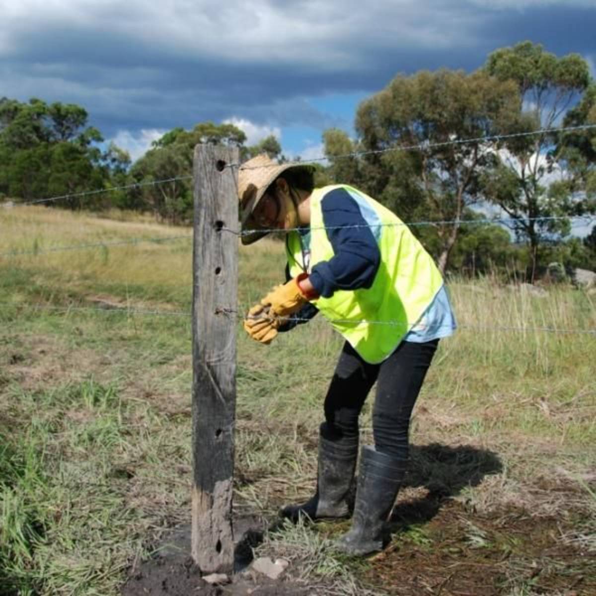 Volunteer in Environment Conservation