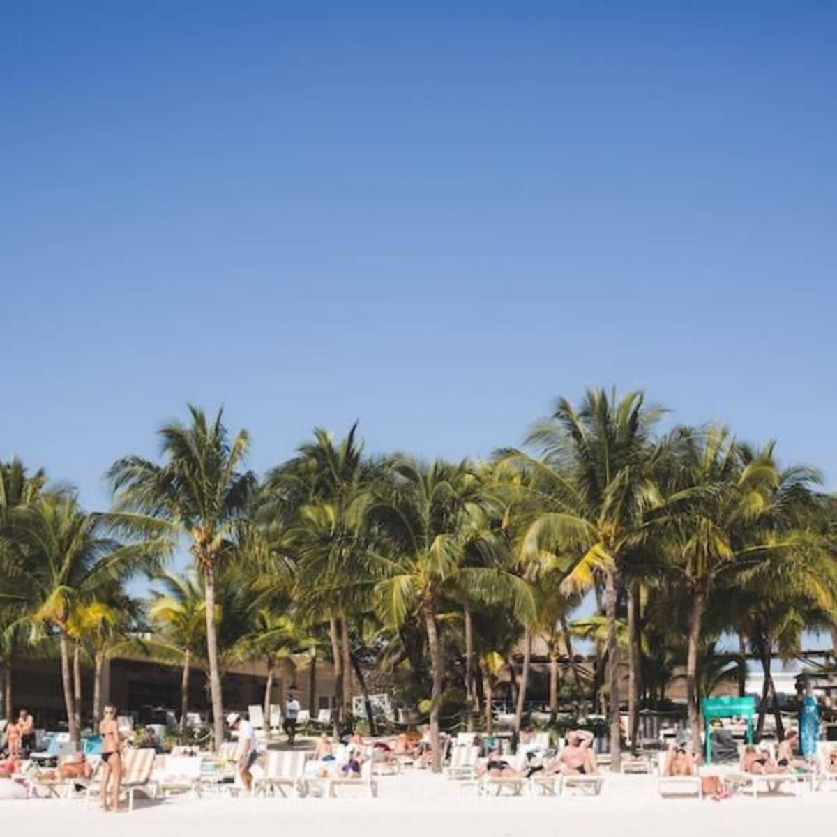 Hotel and Resort management Internship