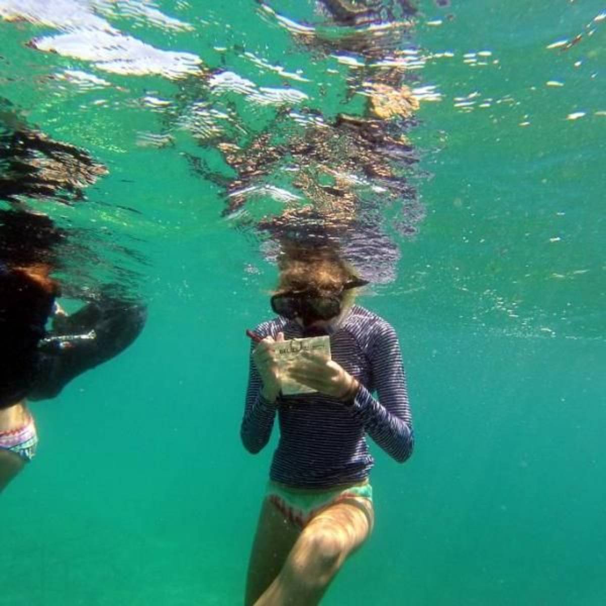 Recording Reef Data in Belize