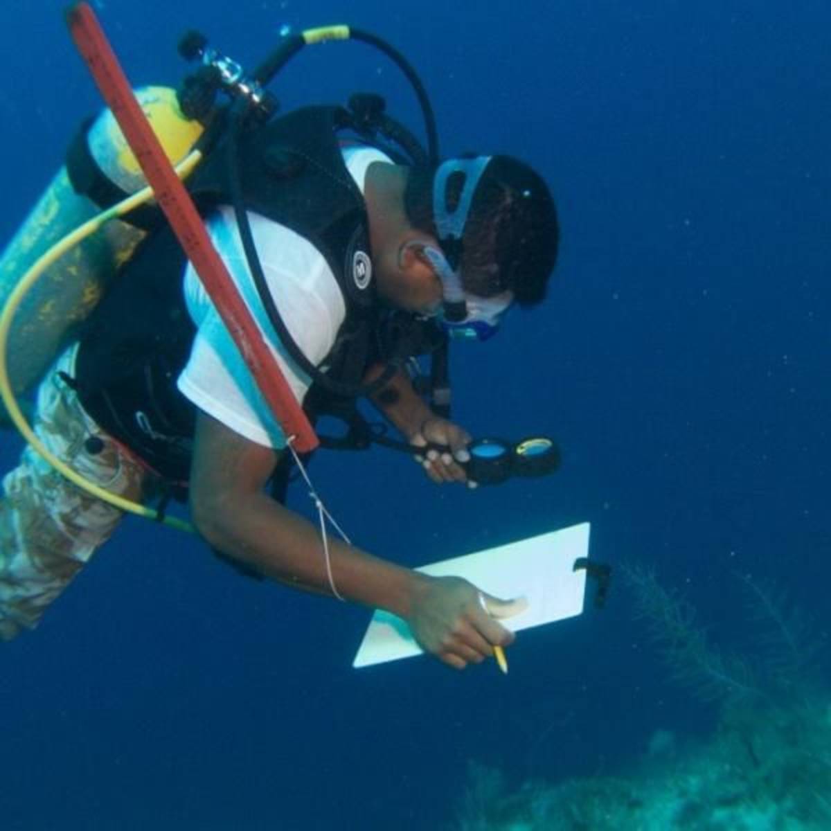 Belize - Private Island Marine Experience