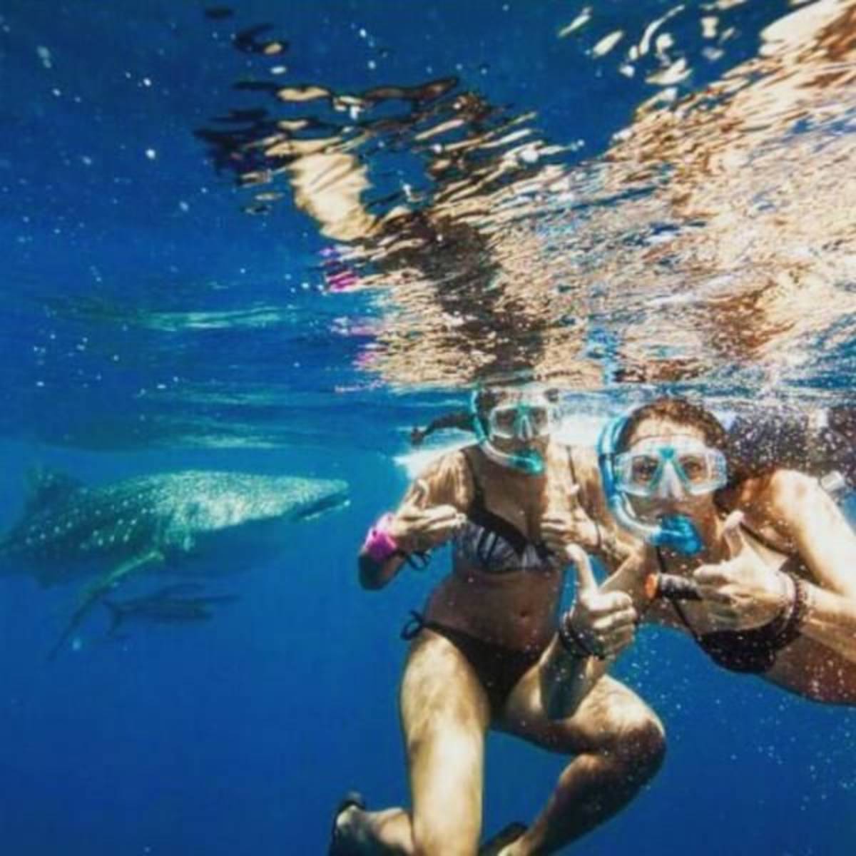 GoEco Belize - Private Island Marine Experience