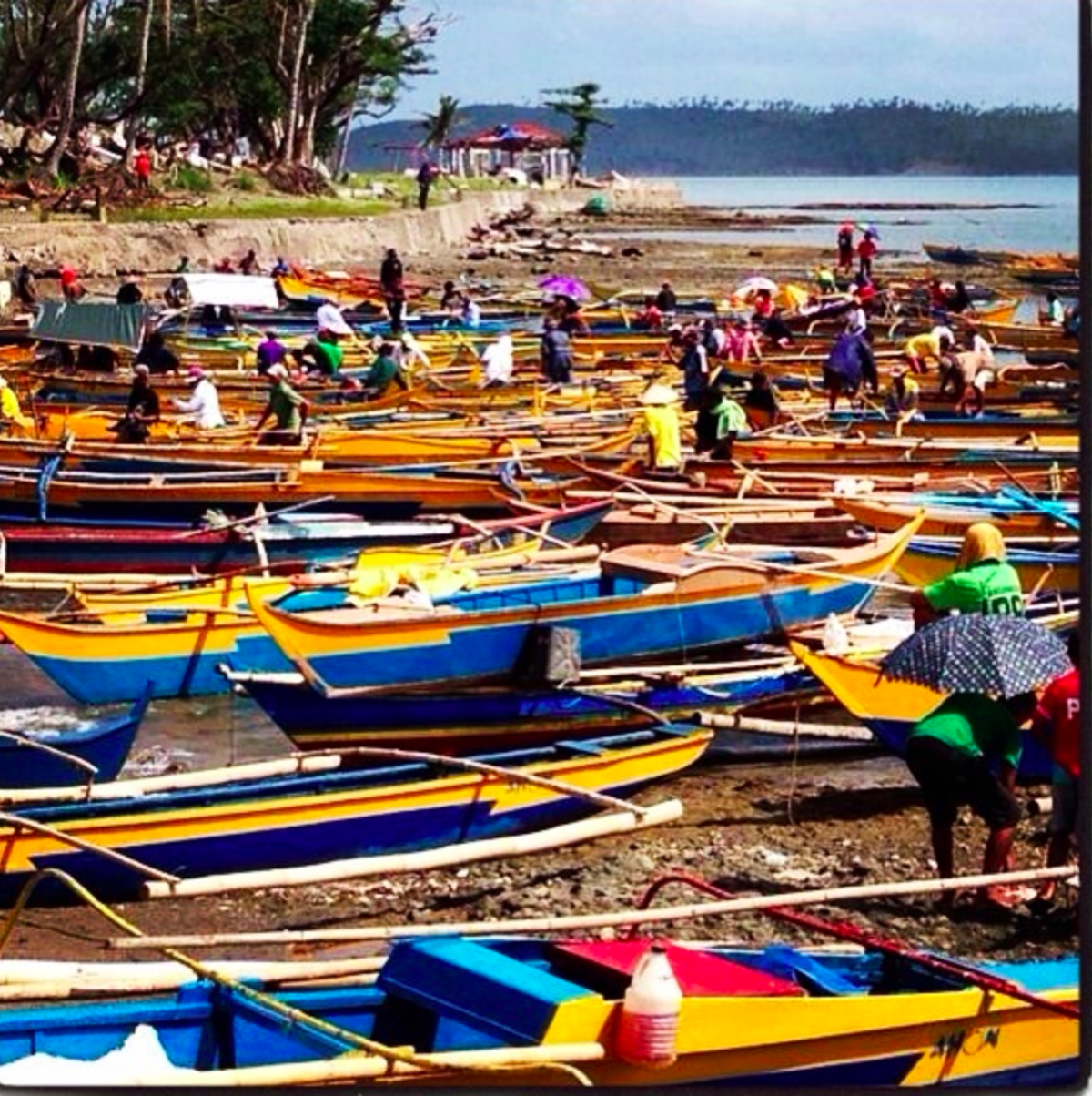 Boats in Vietnam