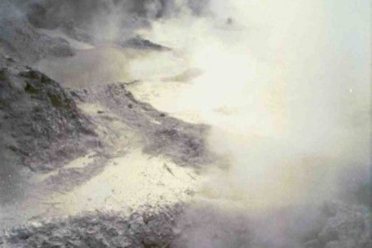 Bubbling and smoky mud Environmental Conservation North Island in New Zealand