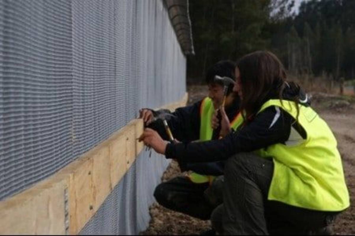 Building fence Environmental Conservation in South Island in New Zealand