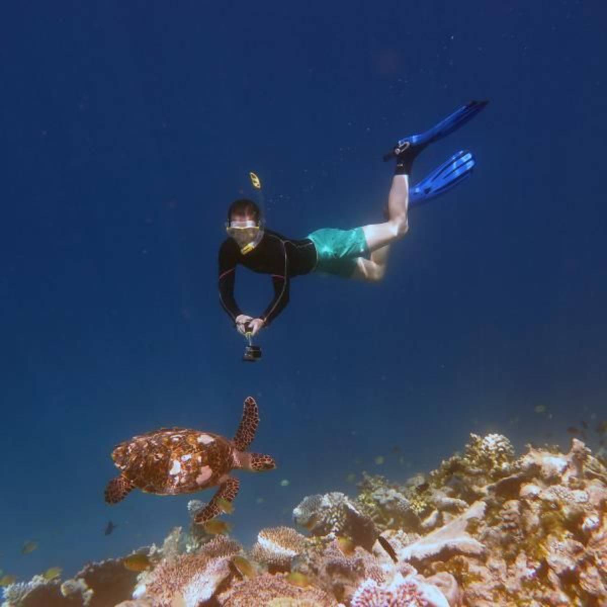 Volunteer in Marine Conservation