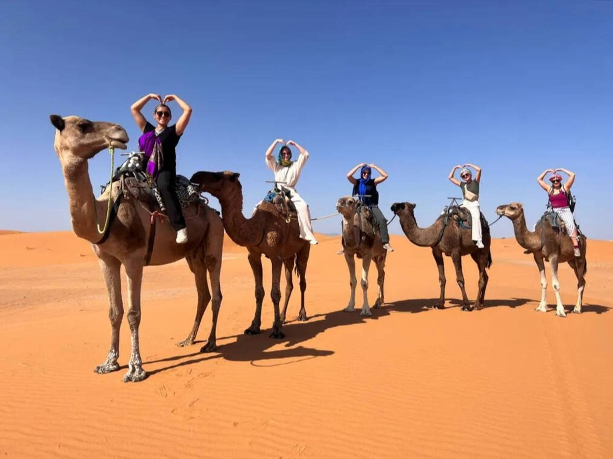 Camel Riding in the Sahara
