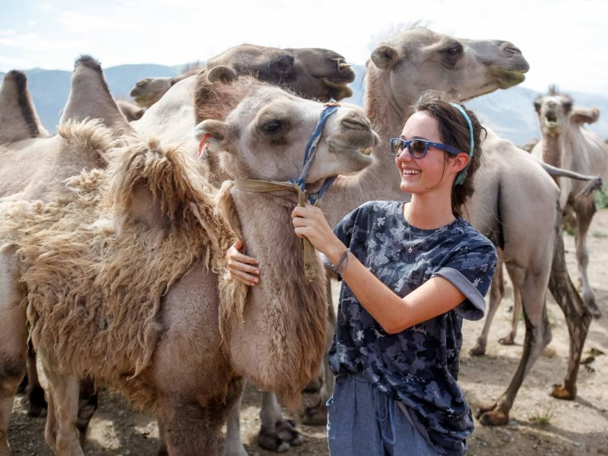 Camels