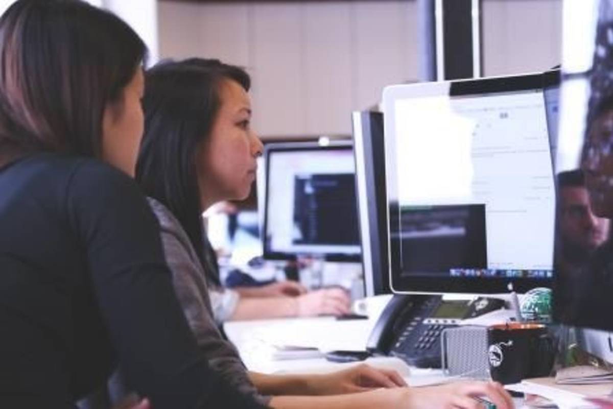 Internship participants at a Host Company in the USA