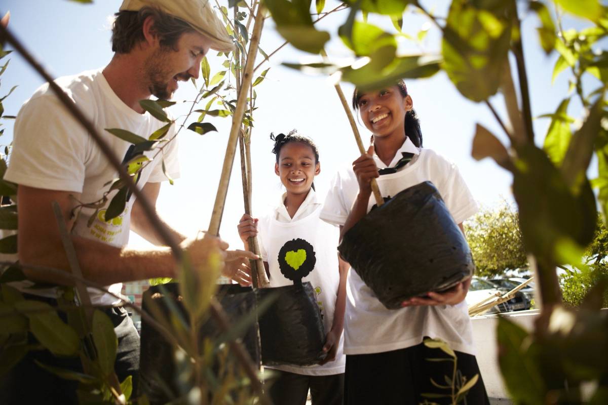 Cape Town planting