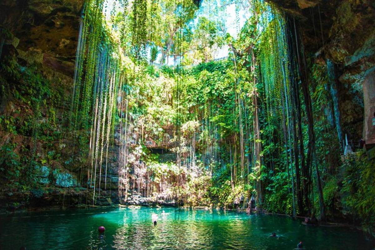 Cenote with turquoise water and hanging vines in Mexico, a popular destination for TEFL teachers and travellers
