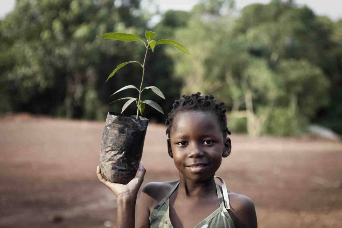 Child with a small tree